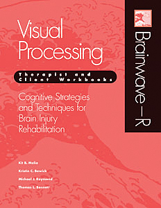 Brainwave-R: Cognitive Strategies and Techniques for Brain Injury Rehabilitation - Visual Processing