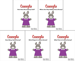 Autism & PDD Concepts: 5-Book Set